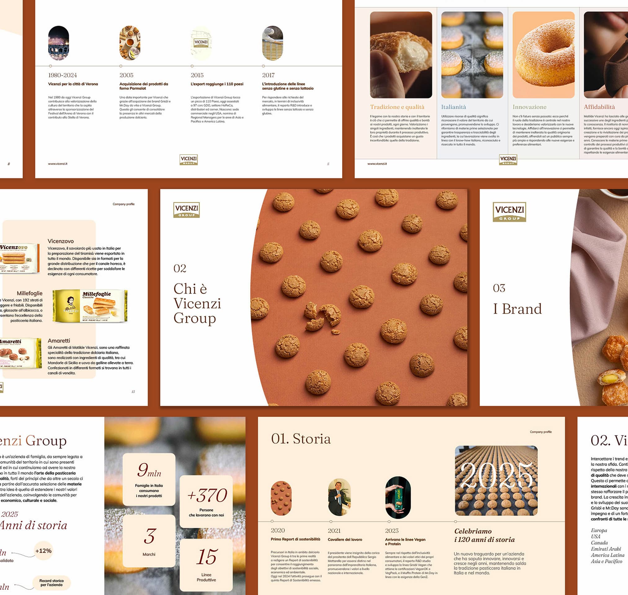Company-profile-Vicenzi